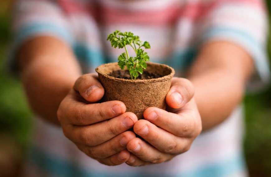 Oficinas de plantio de hortaliças animam férias da criançada