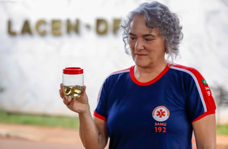 DF registra mais de 5,5 mil acidentes com animais peçonhentos em um ano