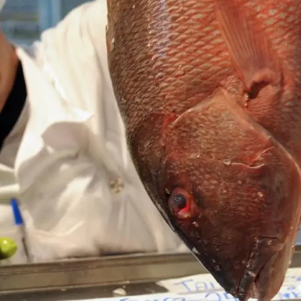 Comércio do DF projeta alta nas vendas de pescados para a Semana Santa