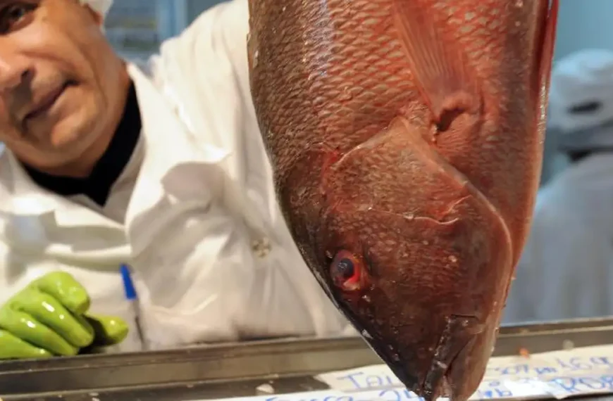 Comércio do DF projeta alta nas vendas de pescados para a Semana Santa