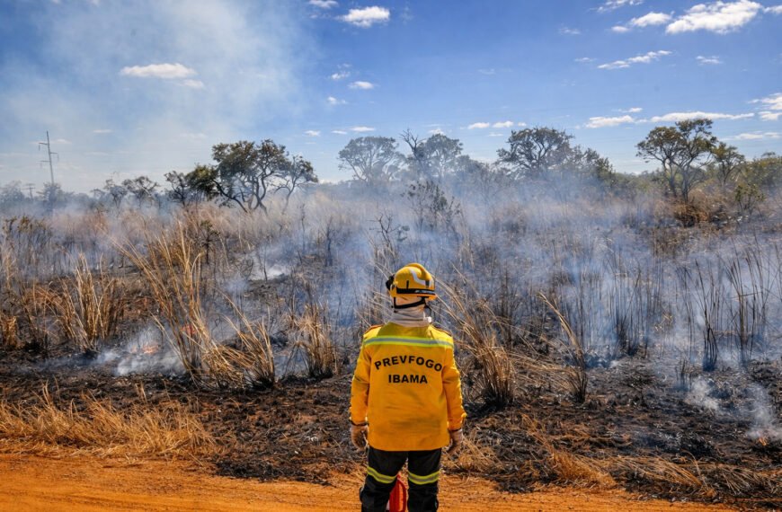 Curso do GDF e do Ibama formará brigadistas para prevenir e combater incêndios