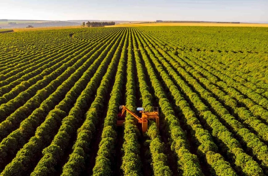 Governo avalia crédito subsidiado para fertilizantes no próximo Plano Safra