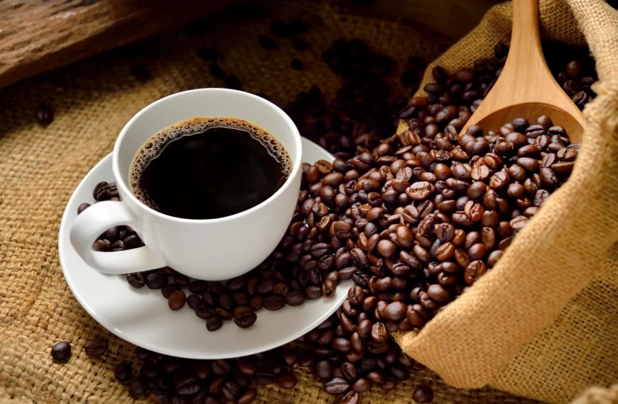 Café brasileiro amplia reconhecimento internacional com foco em qualidade e inovação